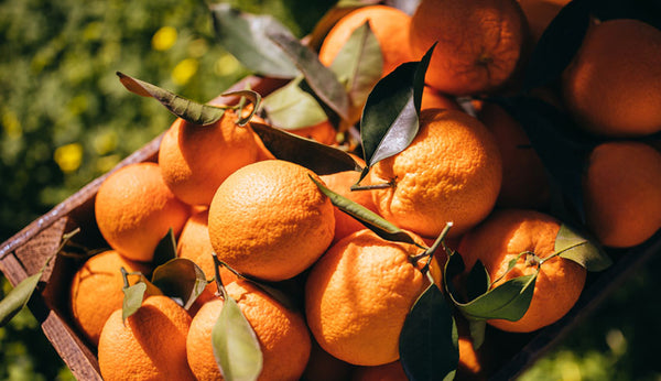 Reverse The Visible Signs Of Aging With Vitamin C | Eminence Organics