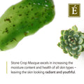 Eminence Organics Stone Crop Masque