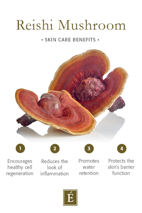 Eminence Organics Snow Mushroom & Reishi Masque